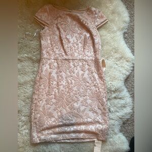 Tadashi Shoji Soft Pink Fabric